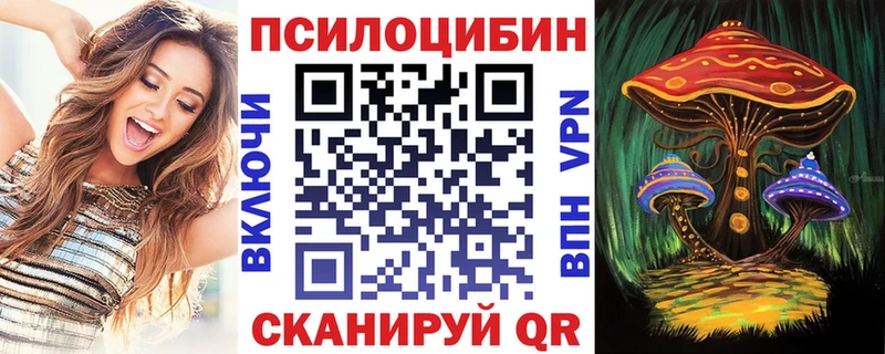 как найти   Павлово  mega зеркало  Галлюциногенные грибы GOLDEN TEACHER 